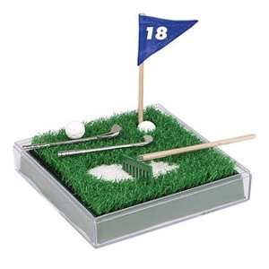  Golf on the Go Box Set   Toysmith Toys & Games
