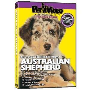  Australian Shepherd DVD   Everything You Should Know About 