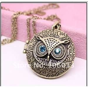  Vintage Round Owl Locket Necklace Retro: Jewelry