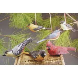    Assorted Backyard Birds Christmas Ornaments: Home & Kitchen