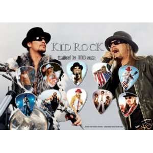  Kid Rock Guitar Pick Display Limited To 100: Electronics