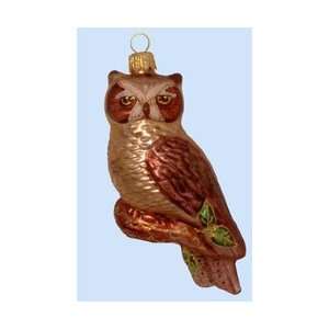  Great Horned Owl Christmas Tree Clip Ornament: Home 
