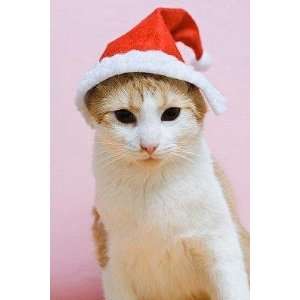  A Cat Wearing a Santa Hat   Peel and Stick Wall Decal by 