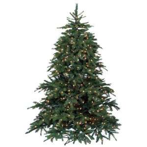  Barcana 8 Foot Washington Fir PE/PVC 500 Clear and Frosted 