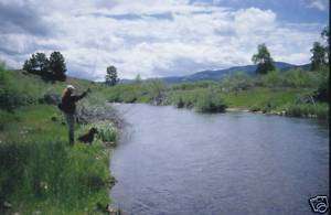Guided Fly Fishing Trip   half day   up to 2 anglers  