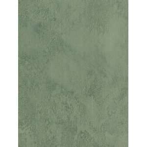 Textured Plaster Putty Green Wallpaper by Thomas Kinkade in Inspired 