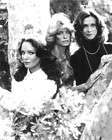 charlie s angels kate jackson jaclyn smith tree poster returns