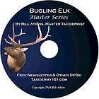   Video Teaching How To Mount a Bugling Elk   Taxidermy Training Video