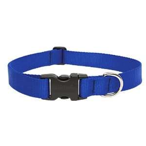  1 Blue 18 31 Adjustable Collar: Pet Supplies