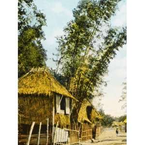  Philippines   Manila   Traditional Bamboo Stilt Houses 