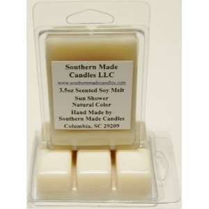  2 Pack 3.5 oz Scented Soy Wax Candle Melts Tarts   Sun 