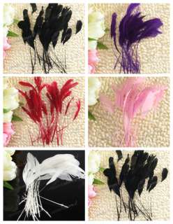 Rooster Coque Millinery Hat Craft Feathers ~5 colors av  