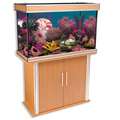   Buy Aquarium Stands & Furniture, Fish Tanks, & Fish Supplies Online