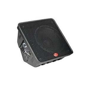  Artist 10 2 Way Stage Monitor With 100 Watt Buil  