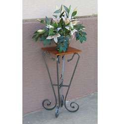 Iron and Wood Modern Plant Stand  