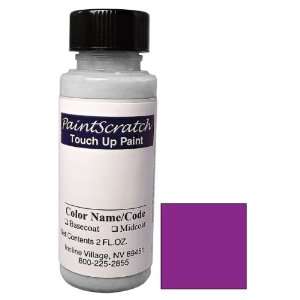  2 Oz. Bottle of Plum Crazy Effect Touch Up Paint for 2007 