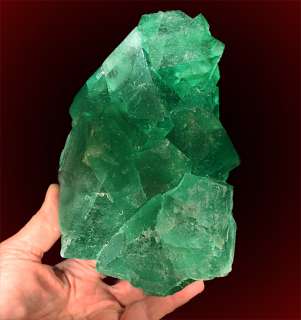Emerald Green OCTAHEDRAL FLUORITE Crystals S.Africa  
