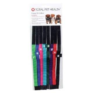 Total Pet Health Nylon Puppy ID Dog Collar, Regular, 8 Pack
