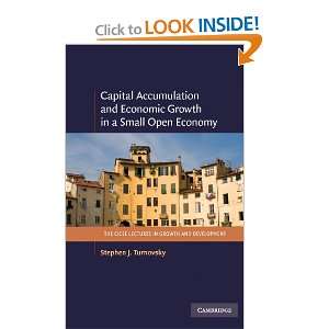  Capital Accumulation and Economic Growth in a Small Open 