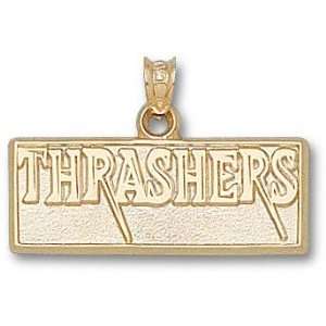 Atlanta Thrashers Solid 10K Gold THRASHERS Puck Pendant  