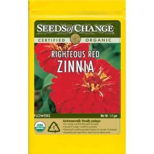   Organic Righteous Red Zinnia, 150 Seed Count Patio, Lawn & Garden