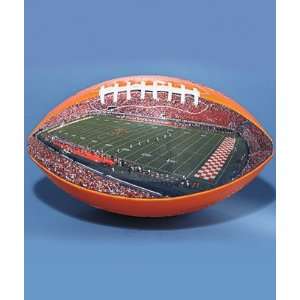 Tennessee Nexland Stadium College Stadium Collectible Football  