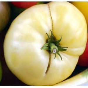  Wonder Tomato 25 Seeds   Great Taste   Heirloom Patio, Lawn & Garden