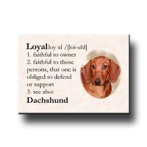  Dachshund Dictionary Loyal Fridge Magnet No 5 Everything 