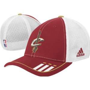 Cleveland Cavaliers 2009 2010 Official Team Flex Fit Hat:  
