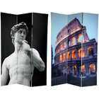   ft. Tall Double Sided Coliseum and David Canvas Room Divider  3 Panel