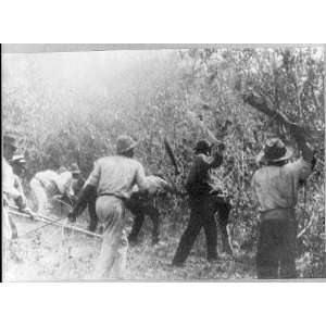   Zone,Republic of Panama,Machete men clearing,1907