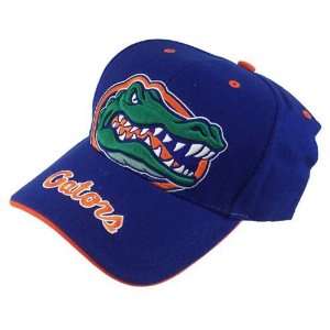    Florida Gators Royal Blue Beast Adjustable Hat: Sports & Outdoors