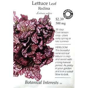  Heirloom Lettuce Redina Certified Organic Heirloom Seeds 150 Seeds 