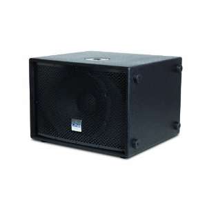   Truesonic TS SUB 12 Powered Subwoofer, Black: Musical Instruments