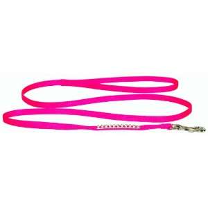   Inch by 4 Feet Snag Proof Nylon Lead, Hot Pink: Pet Supplies