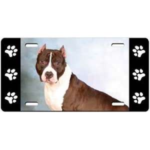    American Staffordshire Terrier License Plate: Sports & Outdoors
