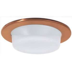  ELCO Lighting 4 Shower Trim with Drop Opal Lens and 