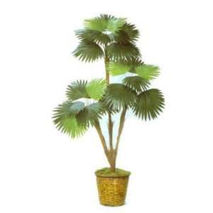  Fan Palm Silk Artificial Tree Plant 5.5 Home & Kitchen