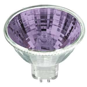  Light Bulb   MR16   4200 Kelvin   FMW Flood   Glass Face   5000 