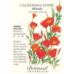  California Poppy Seeds 500 Seeds Patio, Lawn & Garden