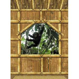 Fototapete Motivtapete Bildtapete   Treehouse   Schimpanse im Baumhaus 