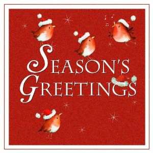 Weihnachtskarte   Seasons Greetings   Rotkehlchen  Küche 