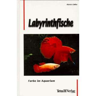 Labyrinthfische. Farbe im Aquarium  Horst Linke Bücher