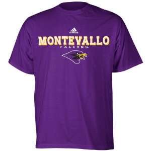  adidas Montevallo Falcons Purple True Basic T shirt (Large 