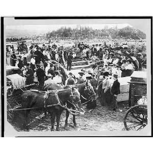  Photo Crowd and horse drawn hearses at mass burial in 