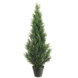   : Pack of 2 Potted Artificial Cedar Topiary Trees 4 Home & Kitchen