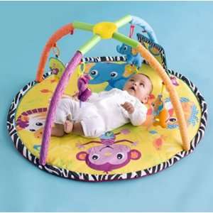   Twist and Fold Activity Gym and Play Mat   Baby Animals Toys & Games