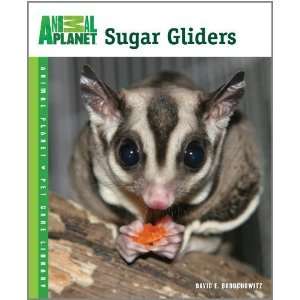  Sugar Gliders (Animal Planet Pet Care Library) [Paperback 