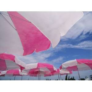  An Arrangement of Pink and White Beach Umbrellas at the Beach 