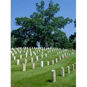 Rows of Headstones on Graves in the Arlington Cemetery, Virginia, USA 